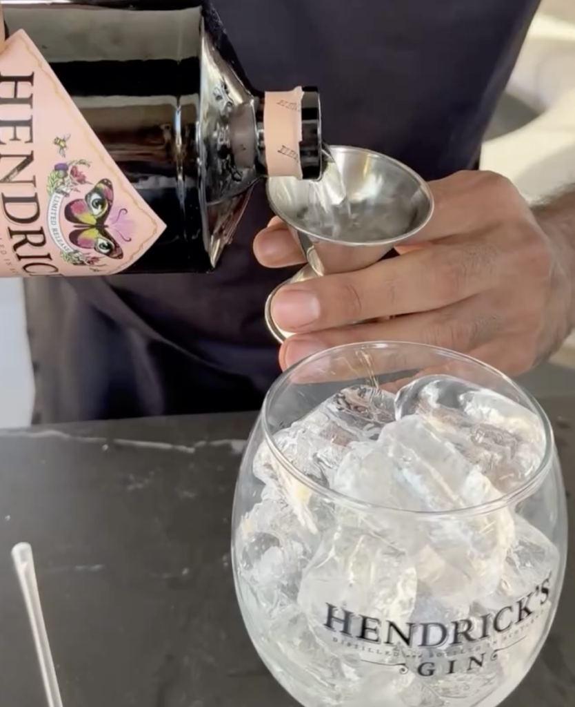 Hendricks Gin Tonic VII